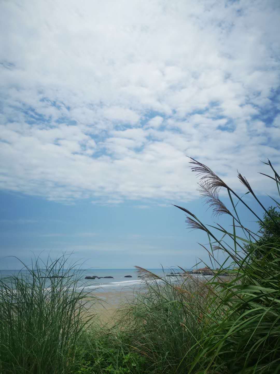 自媒体学习总结2