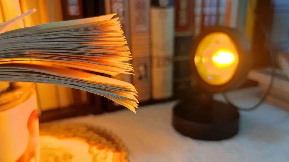 æˆ‘ï¼Œ28å²�å®¶åº­ä¸»å¦‡ï¼Œå…¨è�Œå�šè‡ªåª’ä½“ï¼šæˆ‘æ”¶è�·çš„ä¸�æ­¢æ˜¯é‡‘é’±