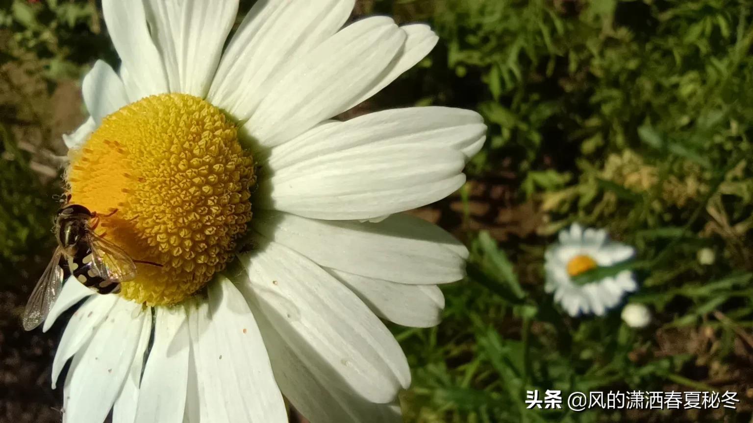 我的自媒体之路