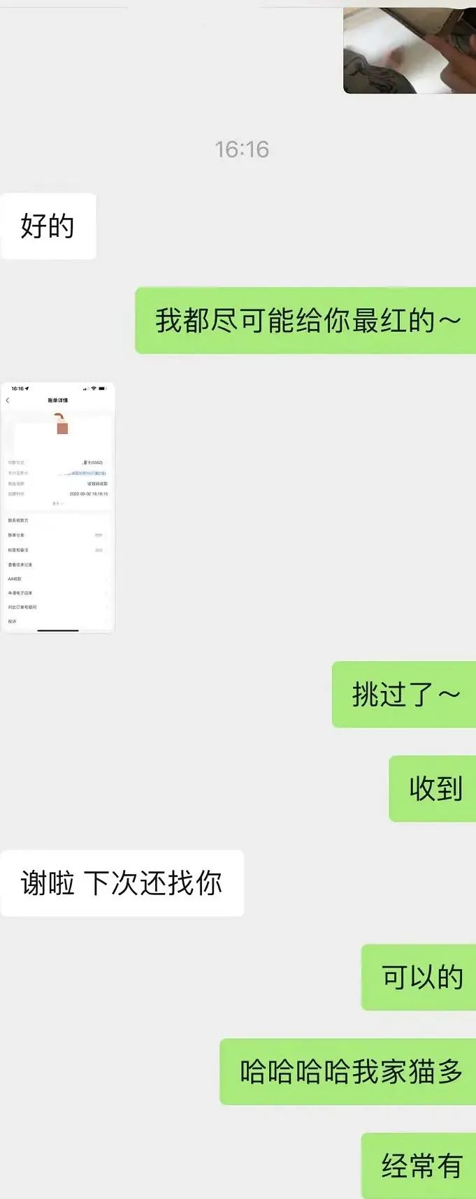 “吃猫胎盘补身”一条朋友圈触目惊心：一些人的愚昧，你想象不到