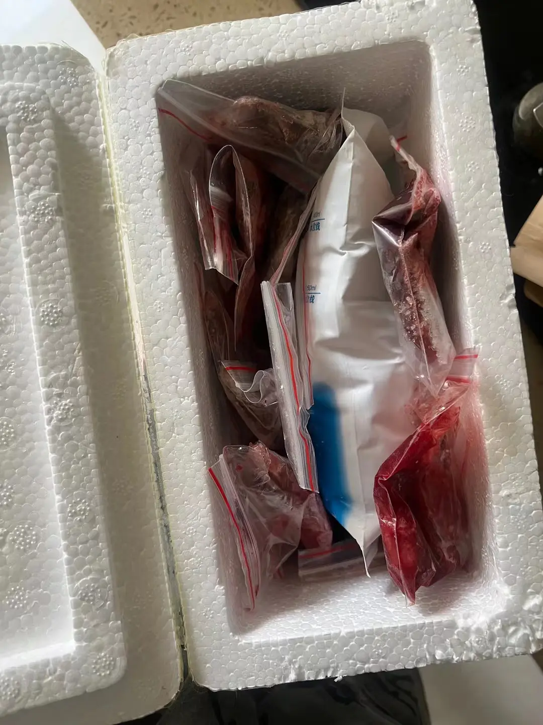 “吃猫胎盘补身”一条朋友圈触目惊心：一些人的愚昧，你想象不到