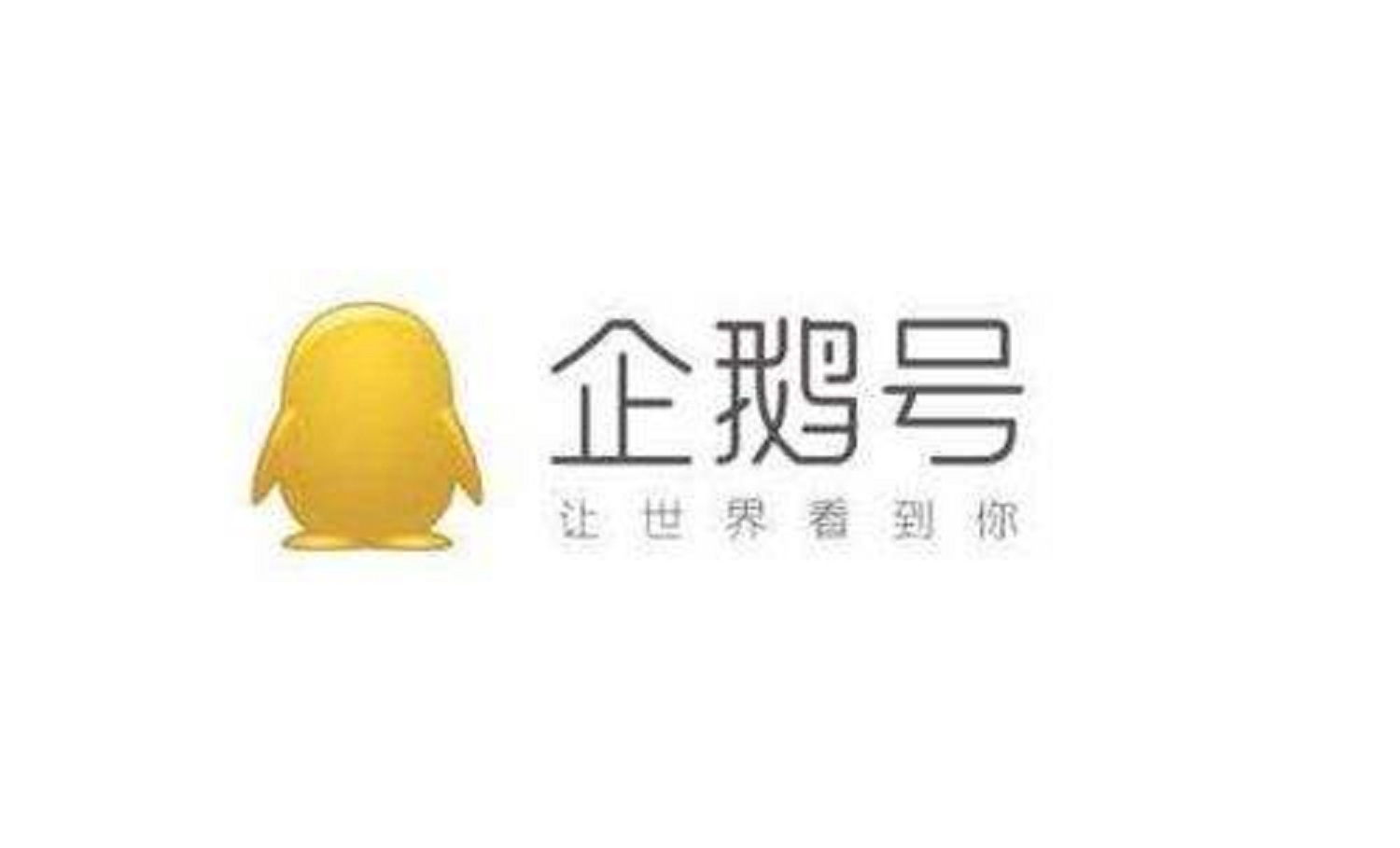 10大自媒体平台,单价最高的是哪个?最适合新手做的是哪个?
