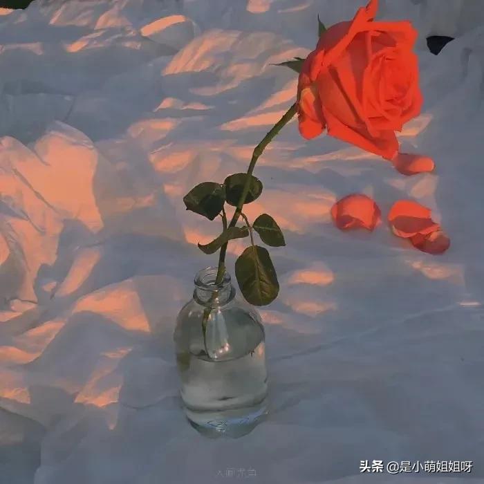 写作两年，做博主半年，我终于成为月入过万的自媒体人