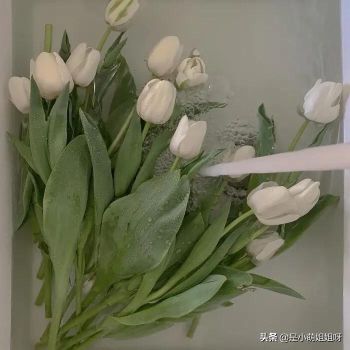 写作两年，做博主半年，我终于成为月入过万的自媒体人