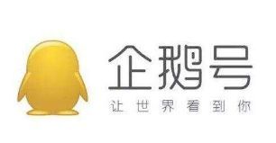 这两个月体验了16个自媒体平台，有些还不错，有些真让人无语