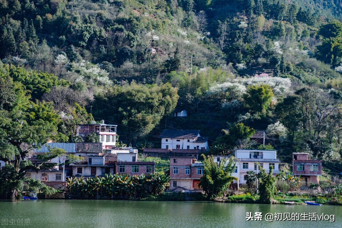 做三农自媒体，拍啥能火？现在做三农自媒体还行吗？