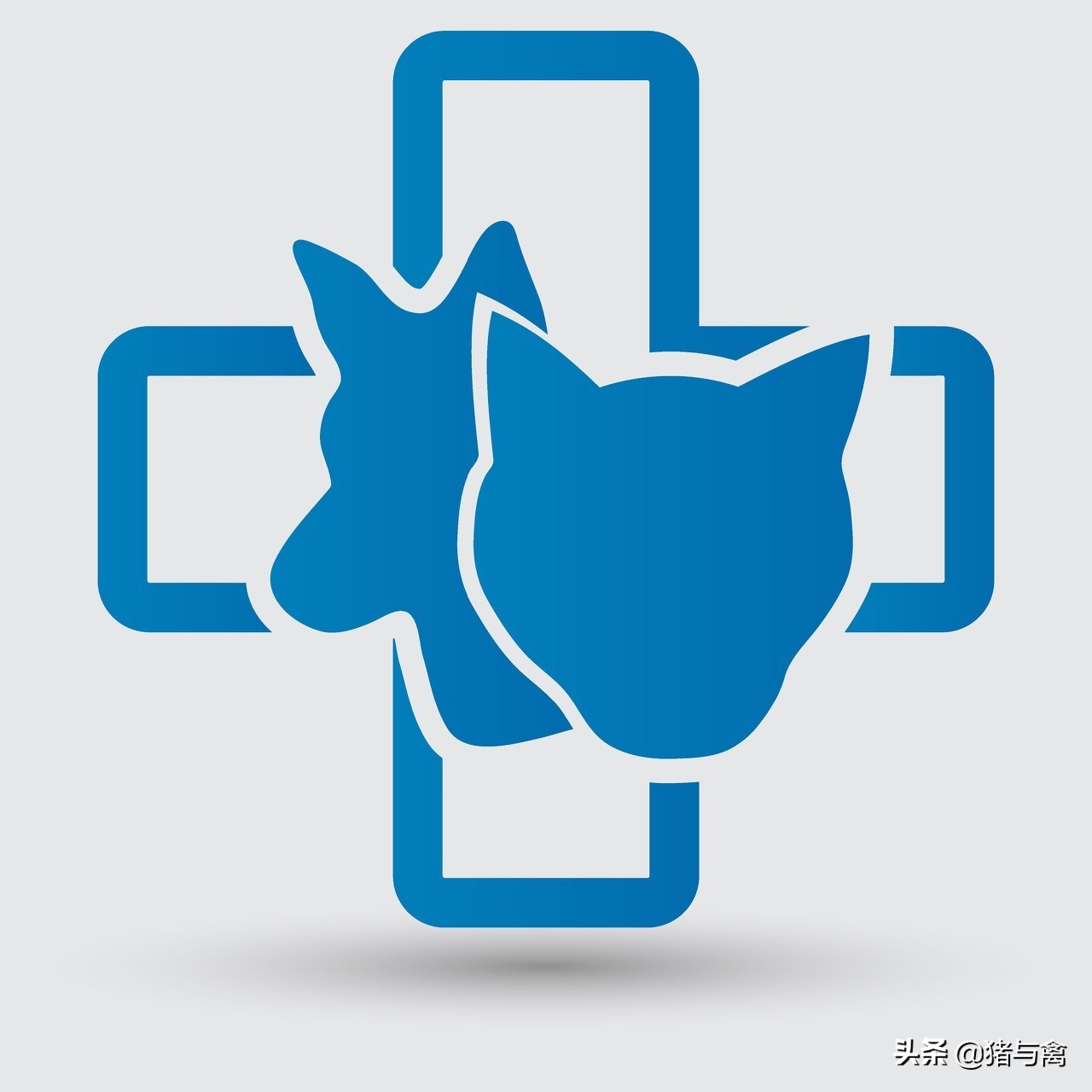 “互联网+兽药”商业计划书