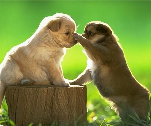 自媒体能活多久？自媒体还能搞吗？