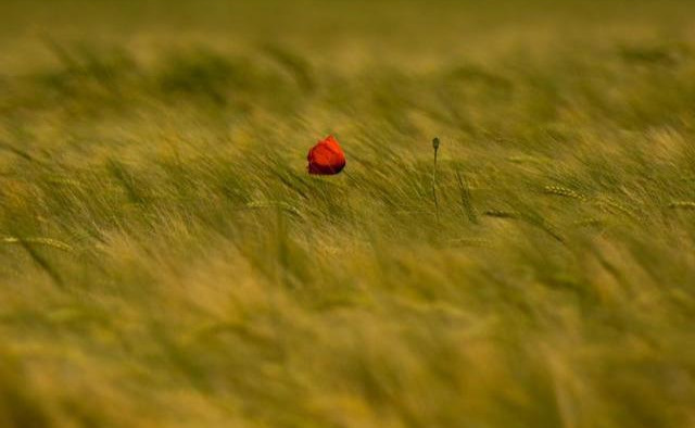 做自媒体没素材？掌握这几个搜集方法，素材永远用不完