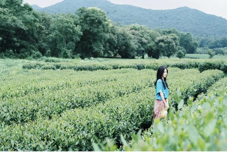 创建自己的自媒体个人品牌,从选择一张好看的图片做头像开始