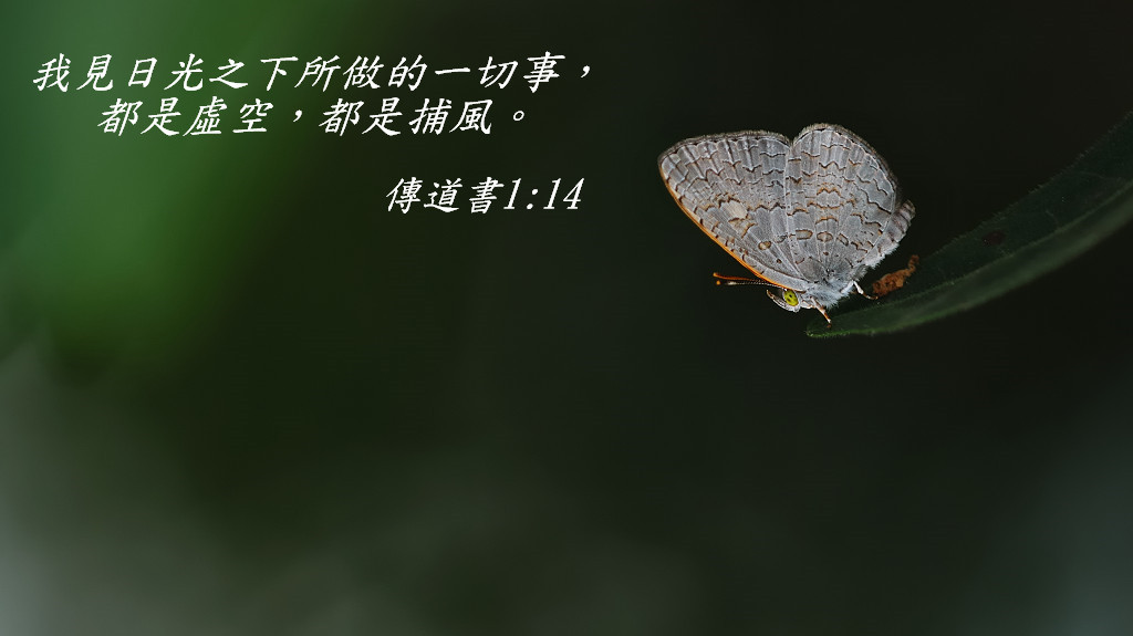 自媒体文案特辑:如果你不会使用金句,那这篇文章就是给你的福利