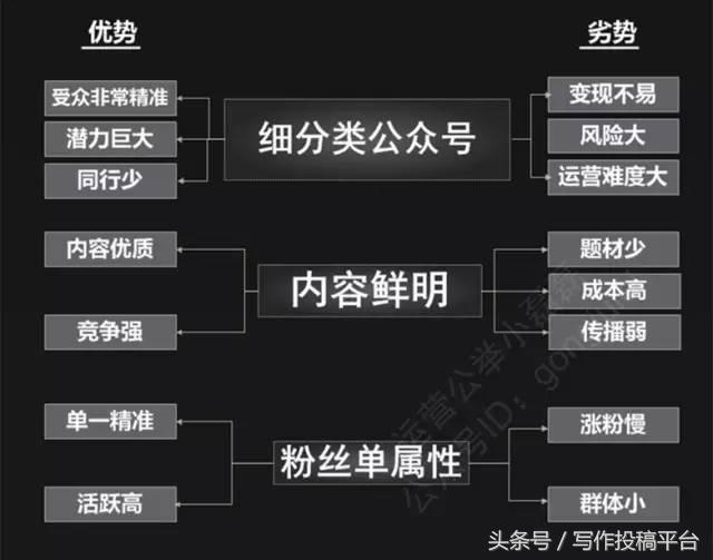 5分钟读懂!关于自媒体、平台号、垂直及细分号的定位!
