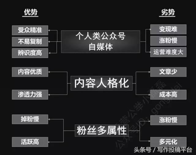 5分钟读懂!关于自媒体、平台号、垂直及细分号的定位!