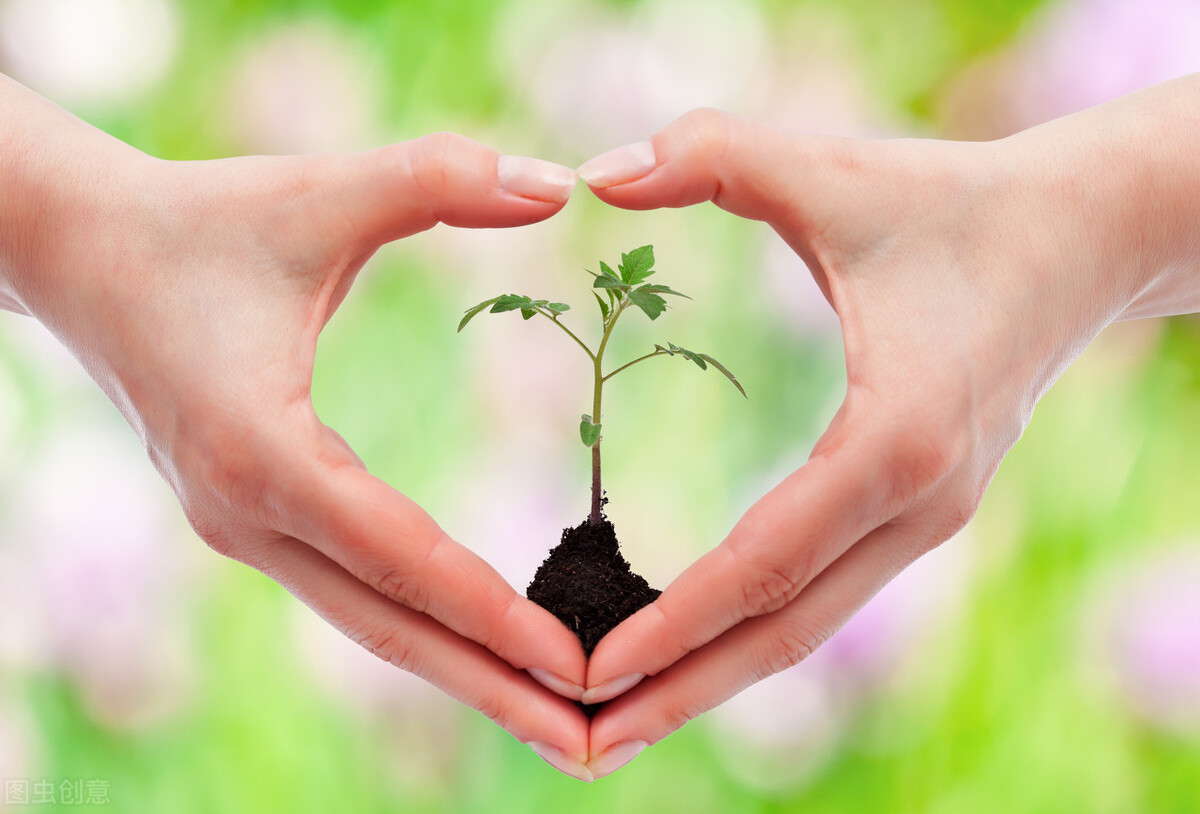 个人如何做自媒体，职业认证起点高，内容是王道，最可贵的是坚持