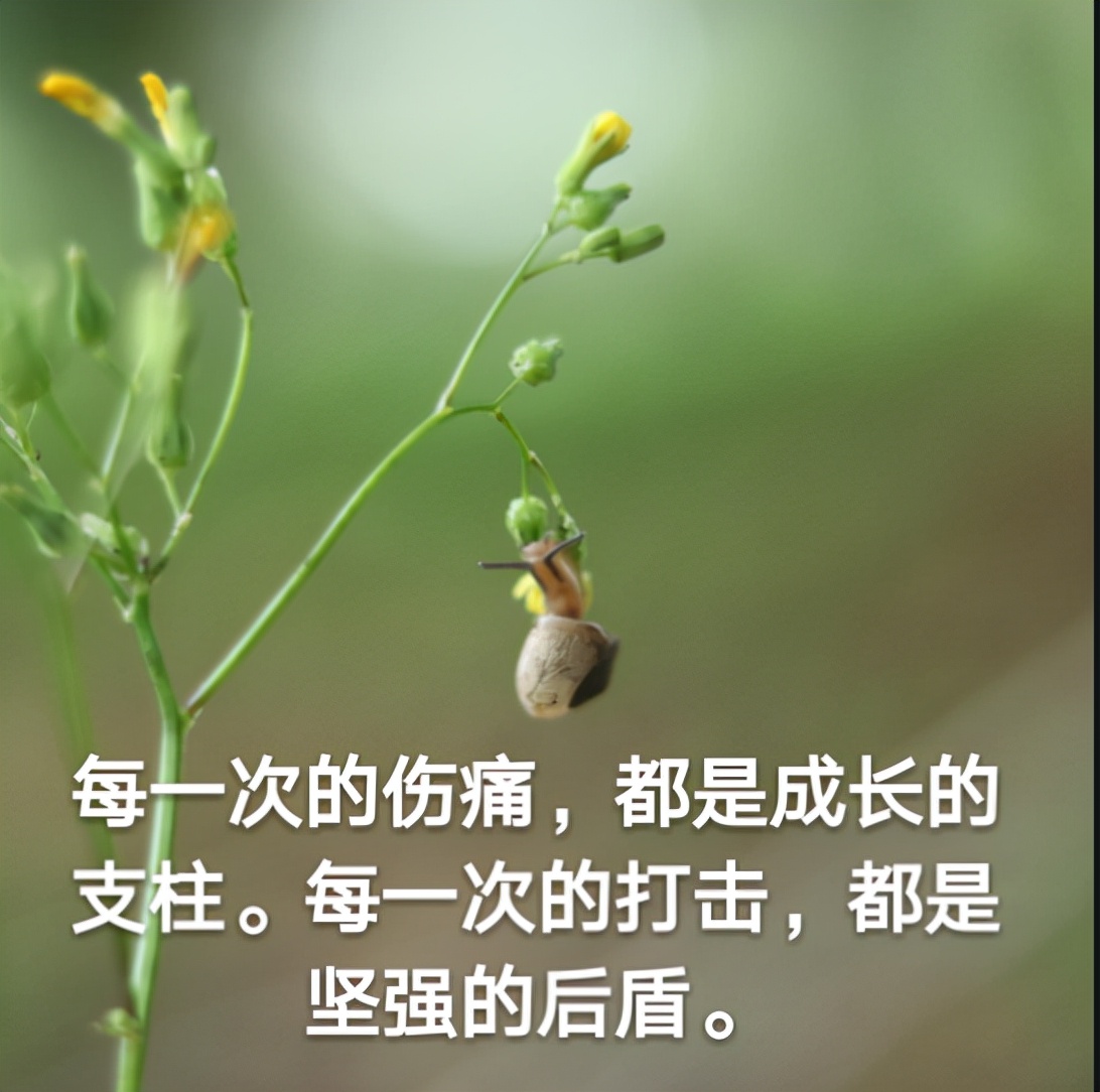 短视频内容制作的这些小窍门你学会了吗？