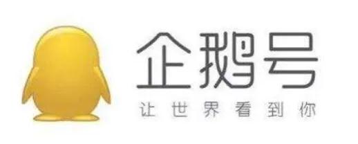 这几个自媒体短视频平台都可以赚钱，纯干货，自用整理