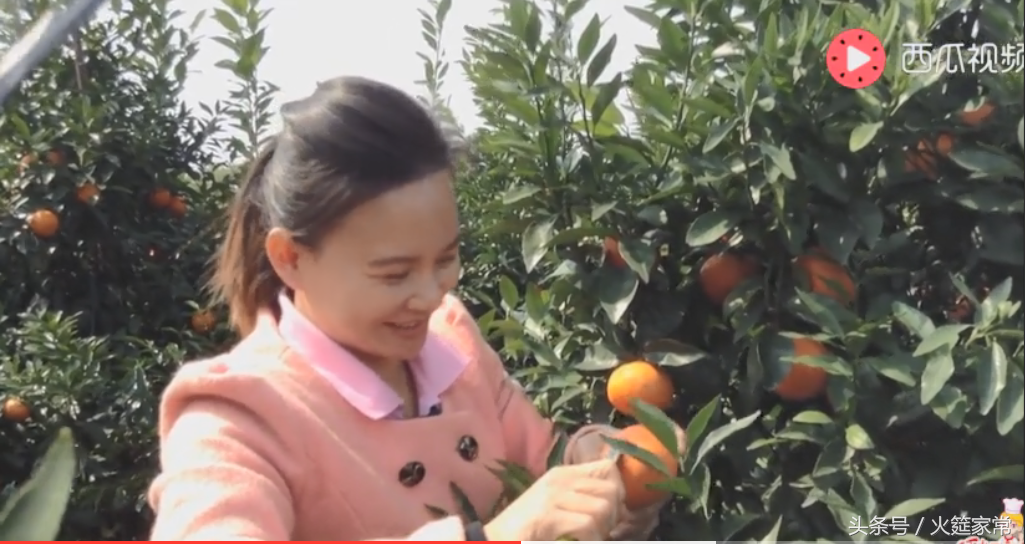 《回家吃饭》看巧妇9妹，农村网红电商之路火哥有话要说