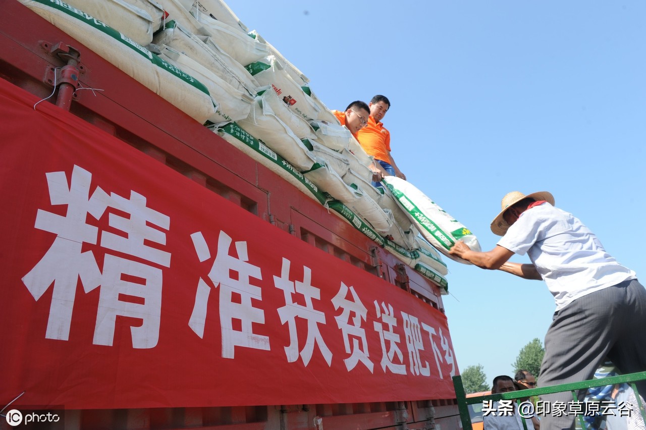 从巧妇九妹说起，到头条直播带货，三农自媒体致富离你并不遥远