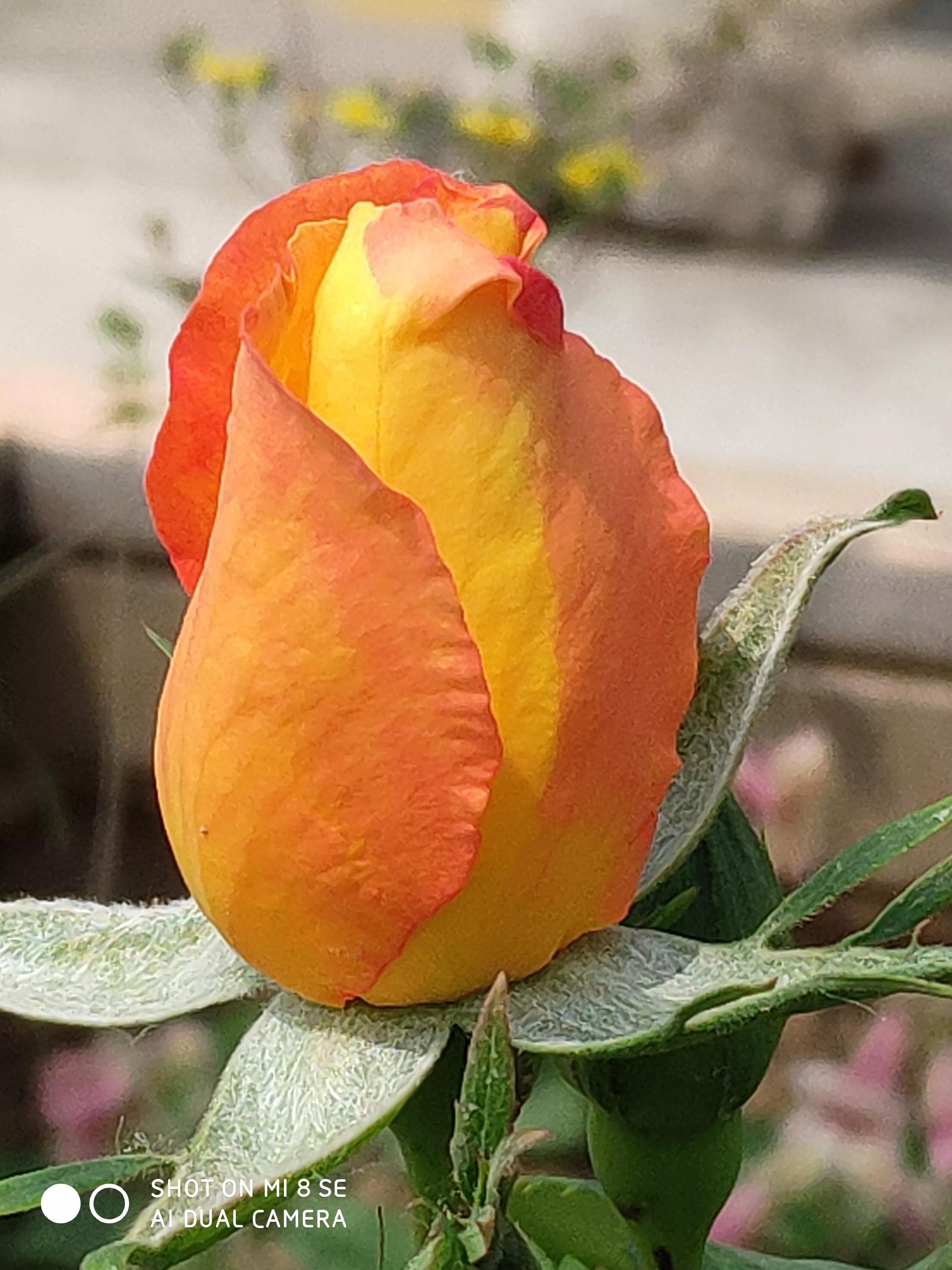 新手小白如何在短视频行业中生存赚钱？并做到年薪百万