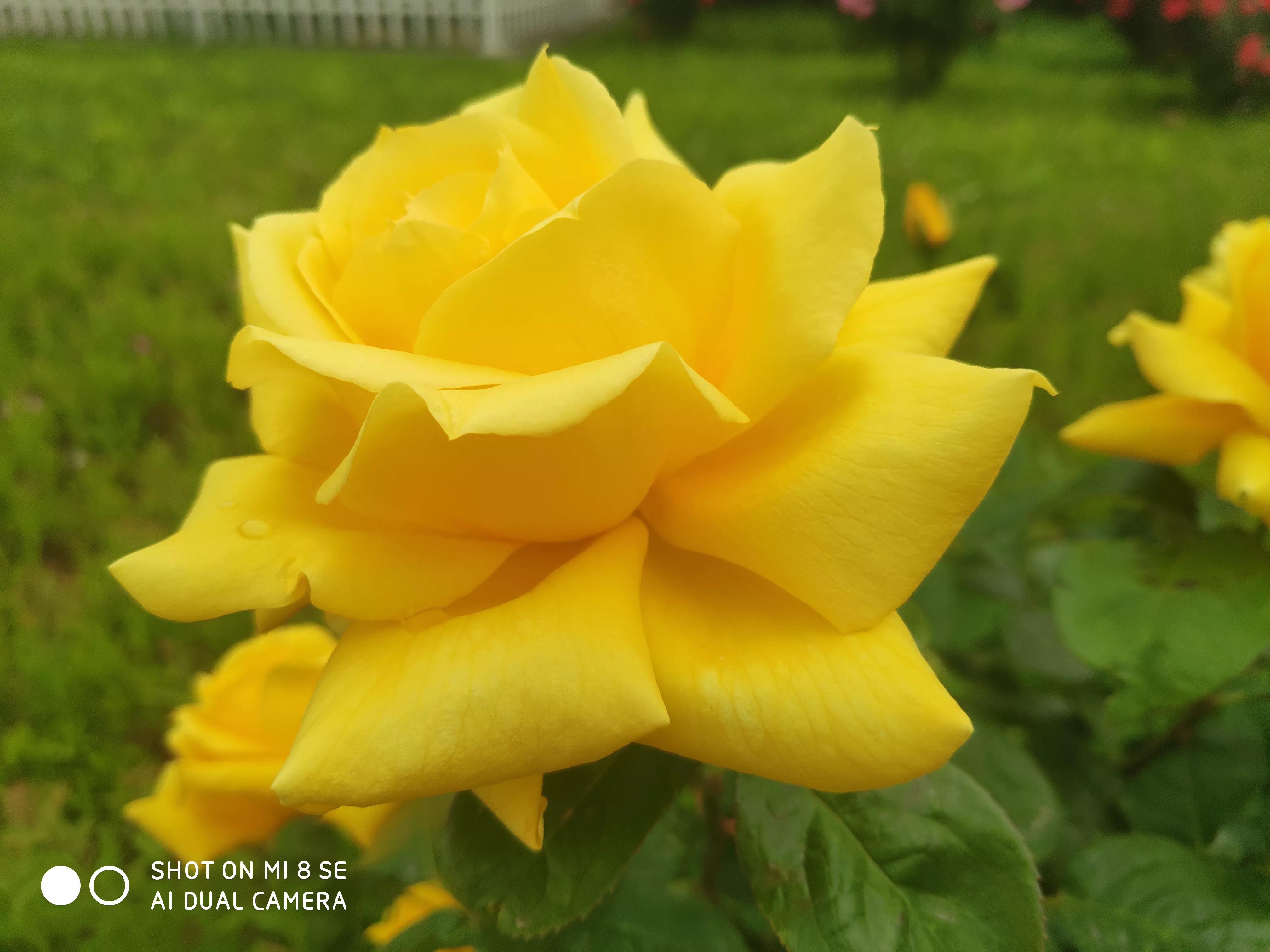 新手小白如何在短视频行业中生存赚钱？并做到年薪百万