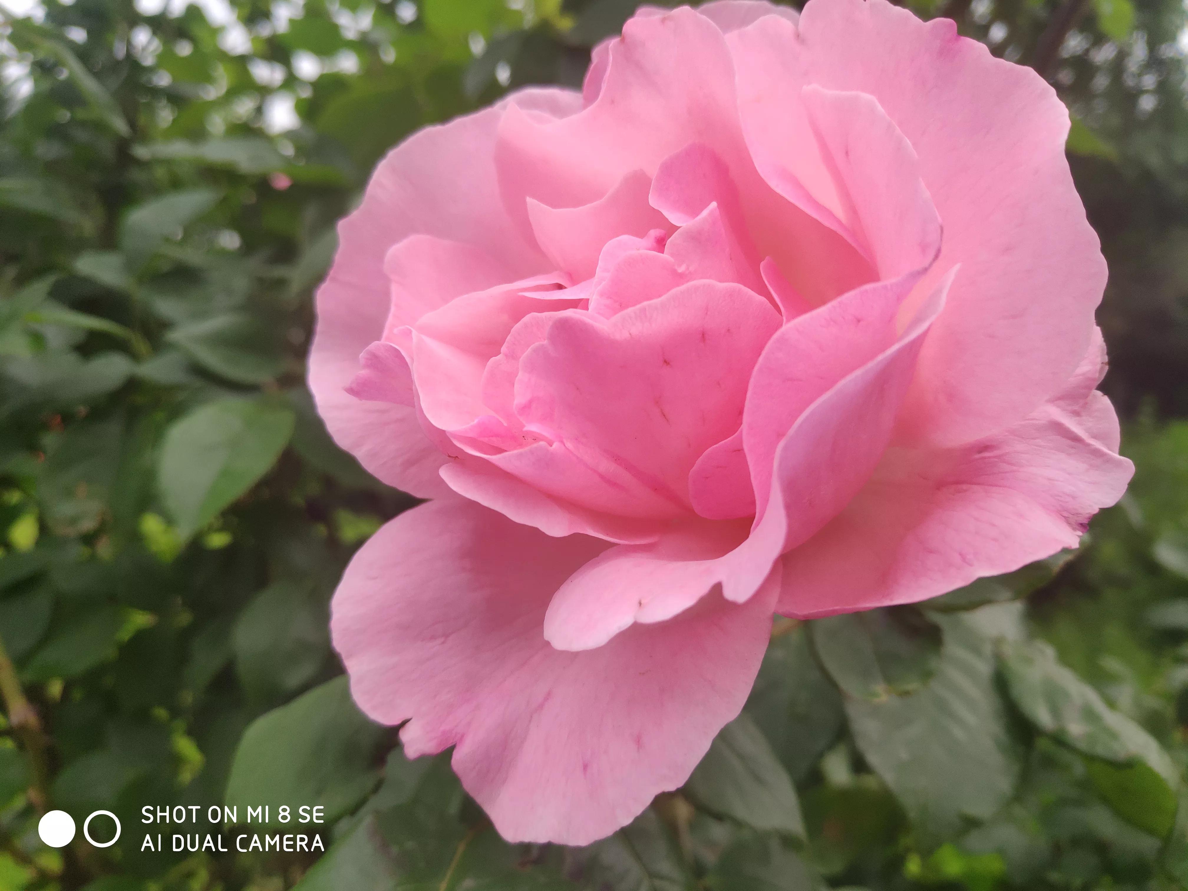 新手小白如何在短视频行业中生存赚钱？并做到年薪百万