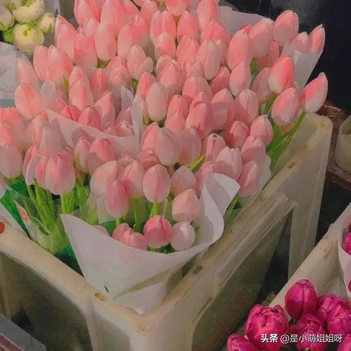 写作两年，做博主半年，我终于成为月入过万的自媒体人