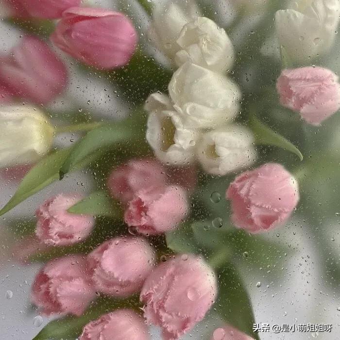 写作两年，做博主半年，我终于成为月入过万的自媒体人