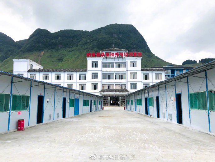 蚕宝宝带来的好生活