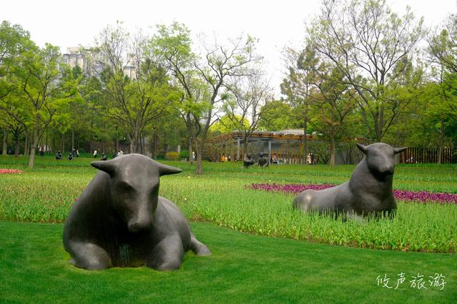 加入头条2个月，和大家谈谈做旅游自媒体的经验、感想和受益