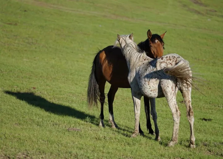 自媒体困惑：旅游自媒体越来越难，谁还在坚持，还想走多远