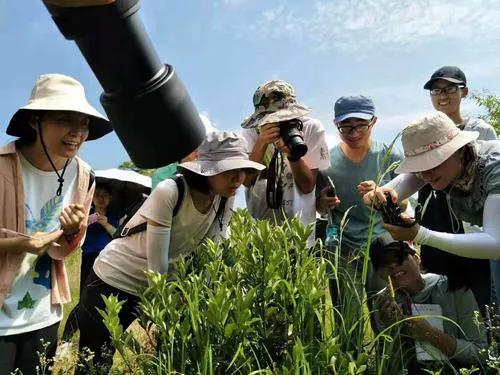 在农村拍短视频，年入1000万是真的吗？农民都可以靠拍视频致富吗