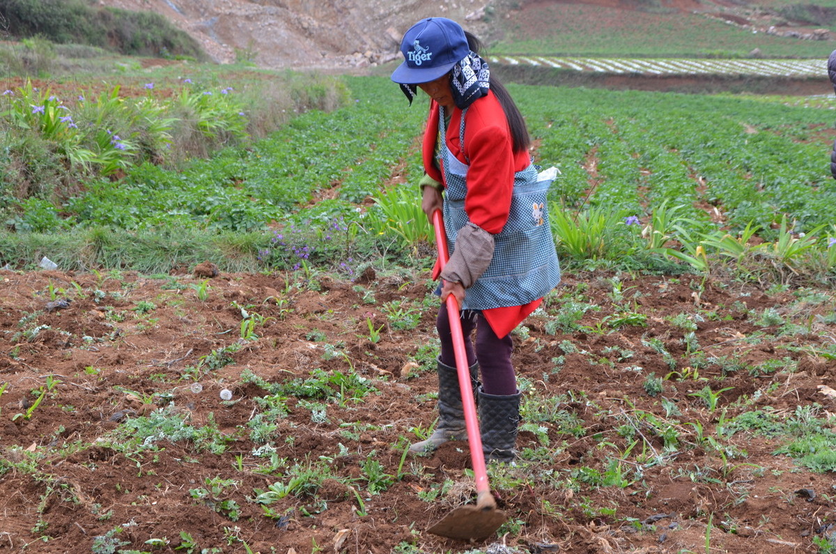 如何利用“乡村自媒体”在农村创业