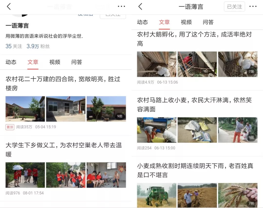 农村留守妇女做自媒体月入过万