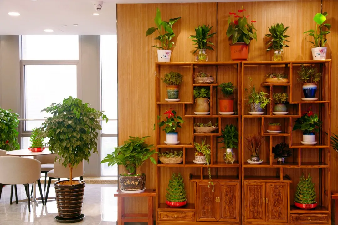 企鹅大战老干妈，哈哈哈，继续搬砖吧