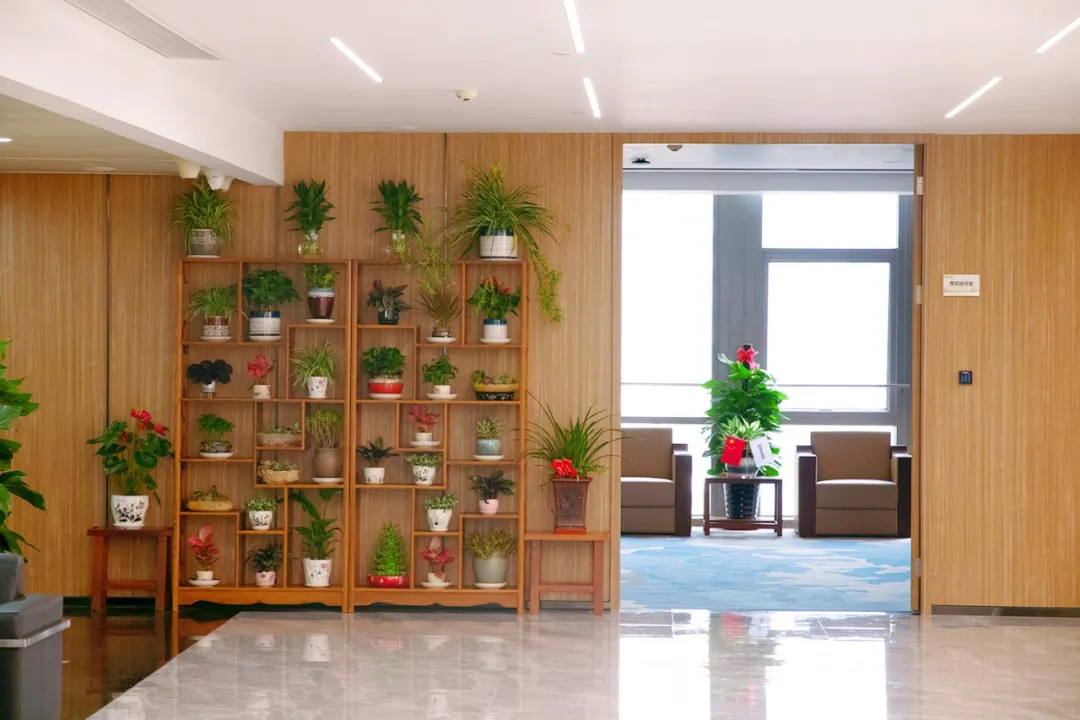 企鹅大战老干妈，哈哈哈，继续搬砖吧