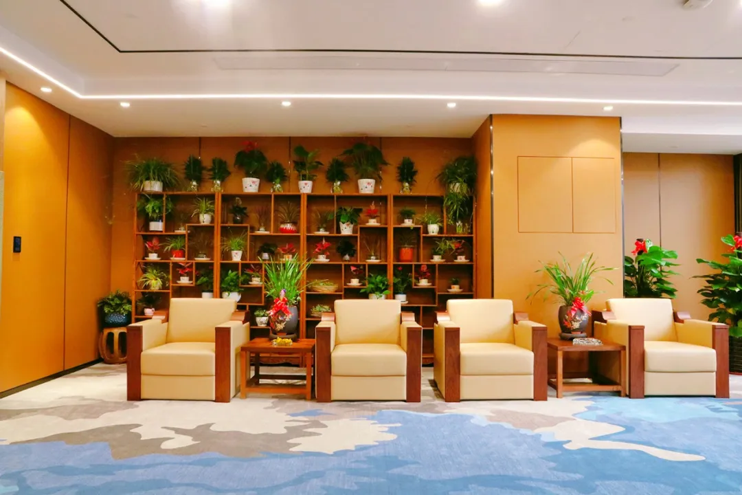 企鹅大战老干妈，哈哈哈，继续搬砖吧