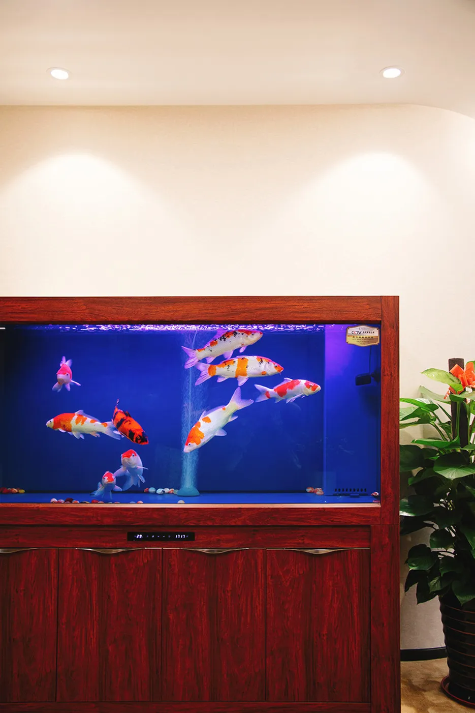 企鹅大战老干妈，哈哈哈，继续搬砖吧