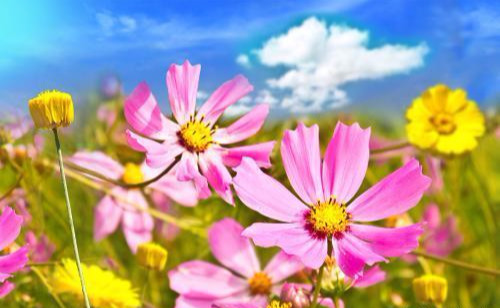 能赚钱的自媒体平台你有几个？最新最全的收益排行榜！你收藏了吗