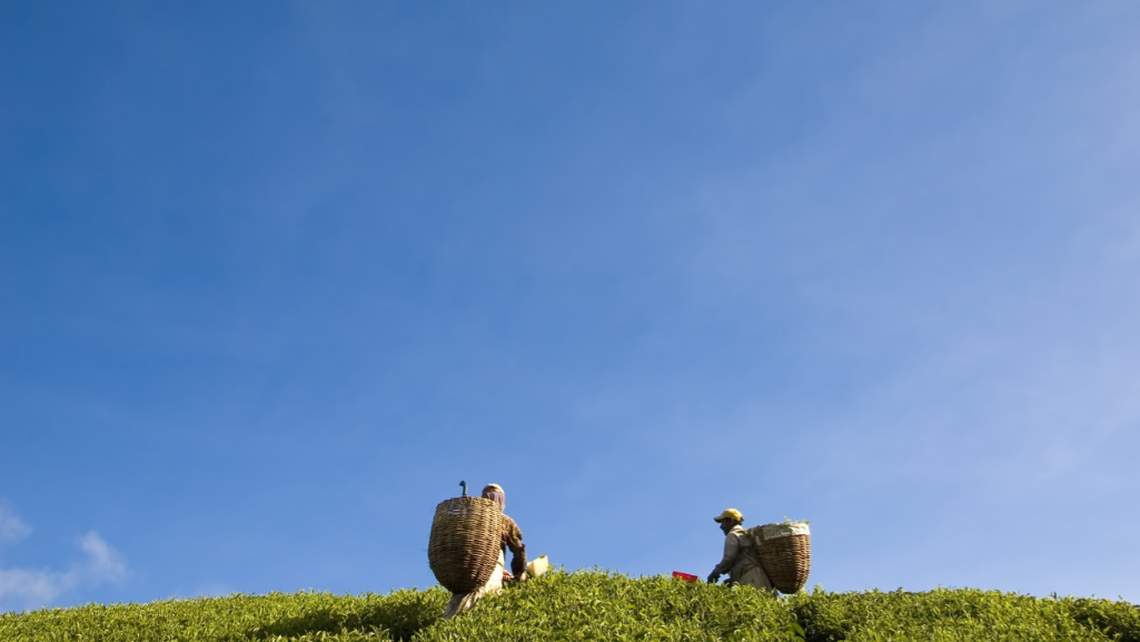 自媒体最赚钱的3种方式，都是“高级玩家”专属，小白很难学会