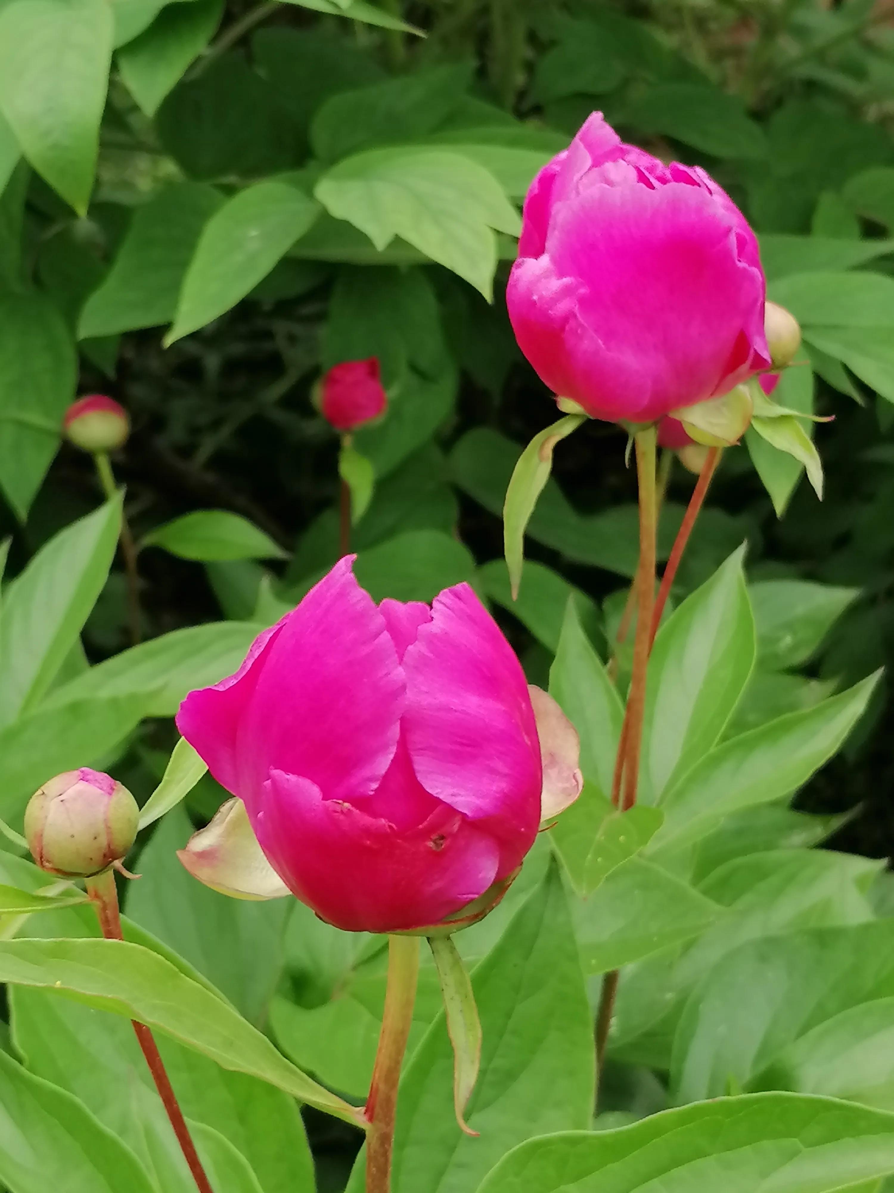 如何取一个好名字？下篇