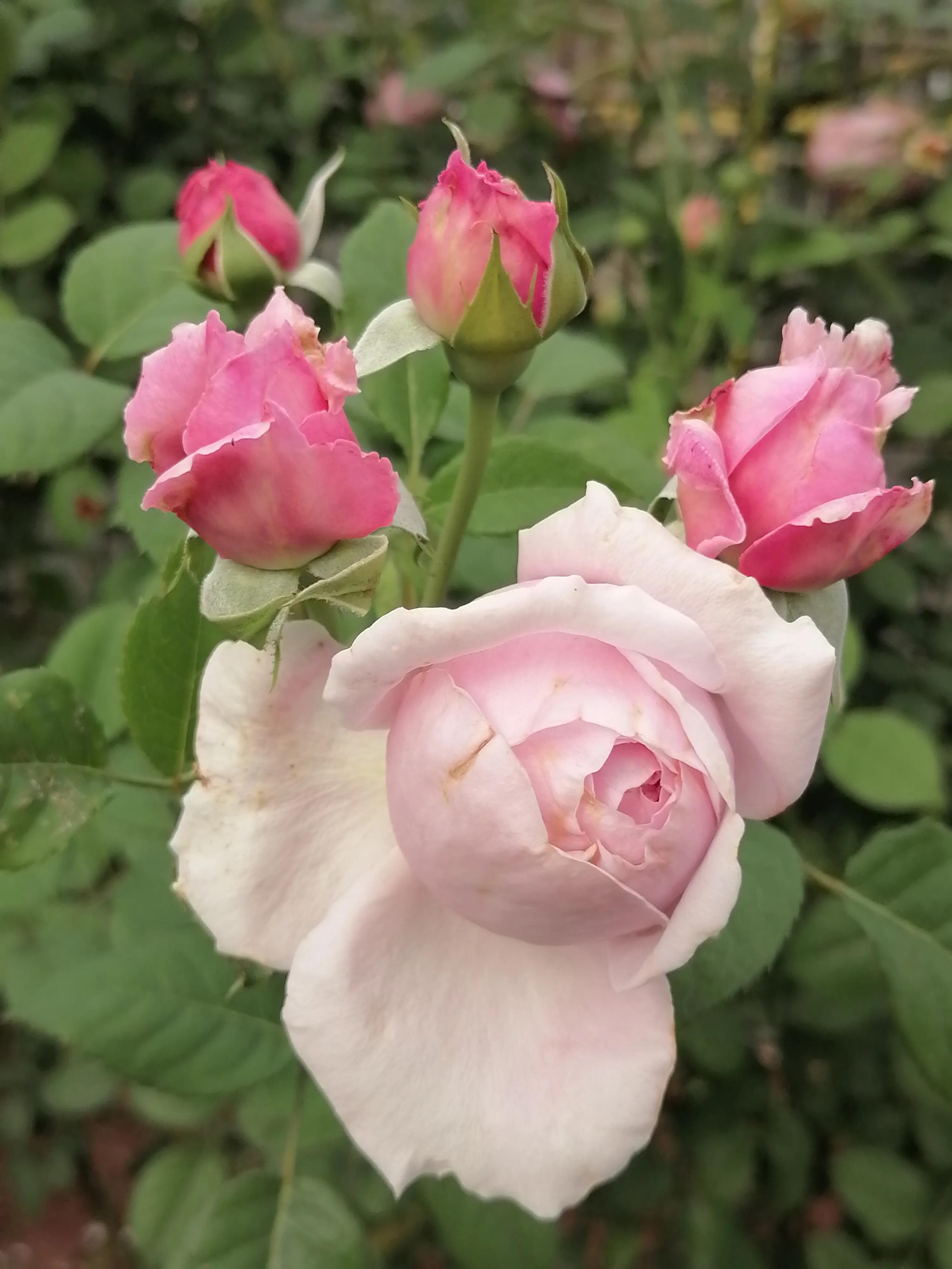 如何取一个好名字？下篇