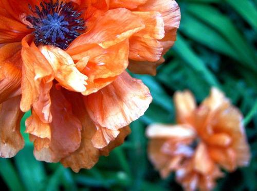 什么是自媒体账号权重，这些知识干货你还不知道吗？纯干货分享