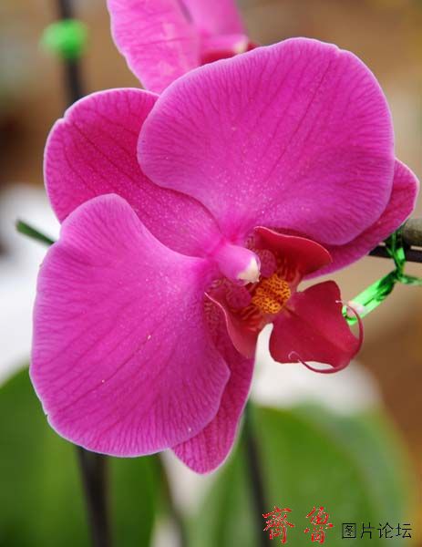 新媒体与自媒体是一回事还是两回事