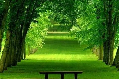 用手机怎样做自媒体