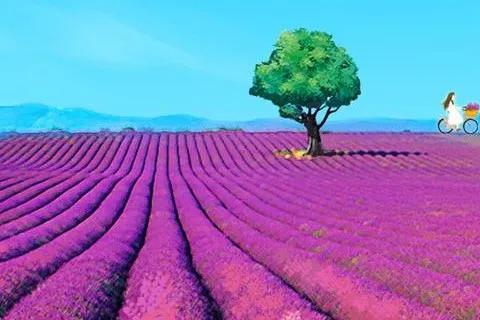 用手机怎样做自媒体