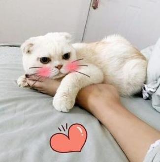  普通人做短视频如何上热门？5个套路，手把手教你打造爆款短视频