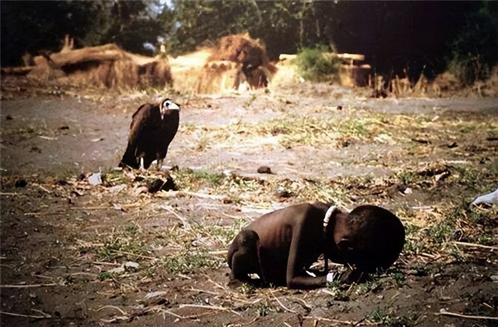 令人失望的爆款文章《魔都人的忍耐已经到了极限》