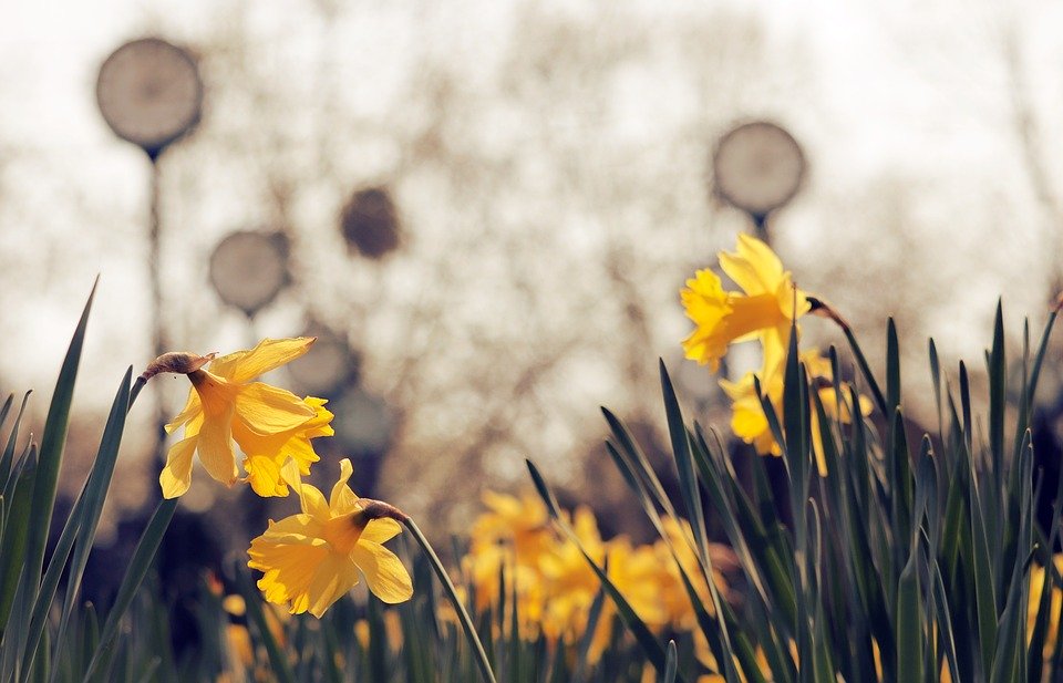 自媒体赚钱如何正确选择领域？开始一但选错，后面就很难做了