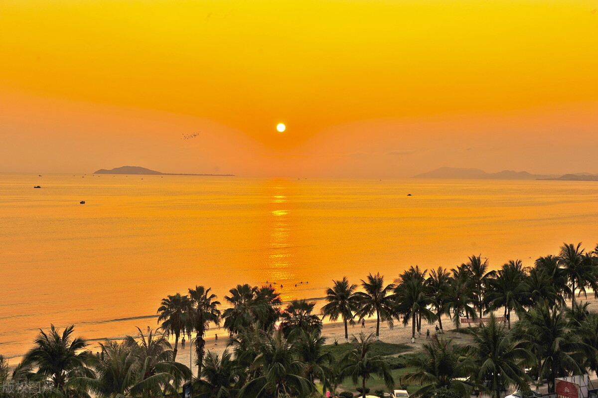海南干净的大街，青翠的树木，美丽的花，天朗气清，惠风和畅 ……