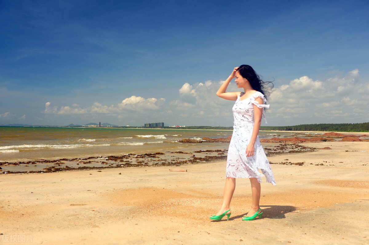海南干净的大街，青翠的树木，美丽的花，天朗气清，惠风和畅 ……